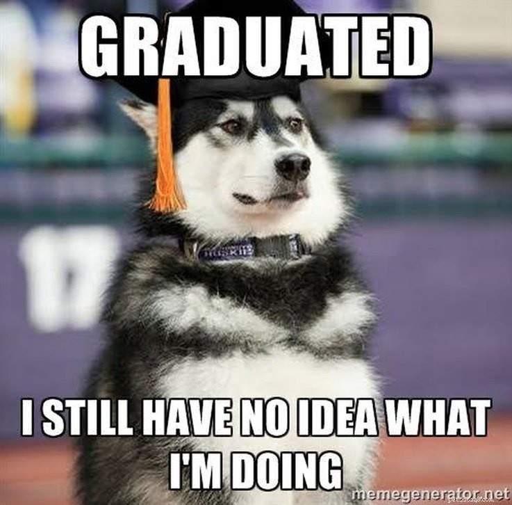 College‑Aged Animal Memes to Brighten Your New Semester