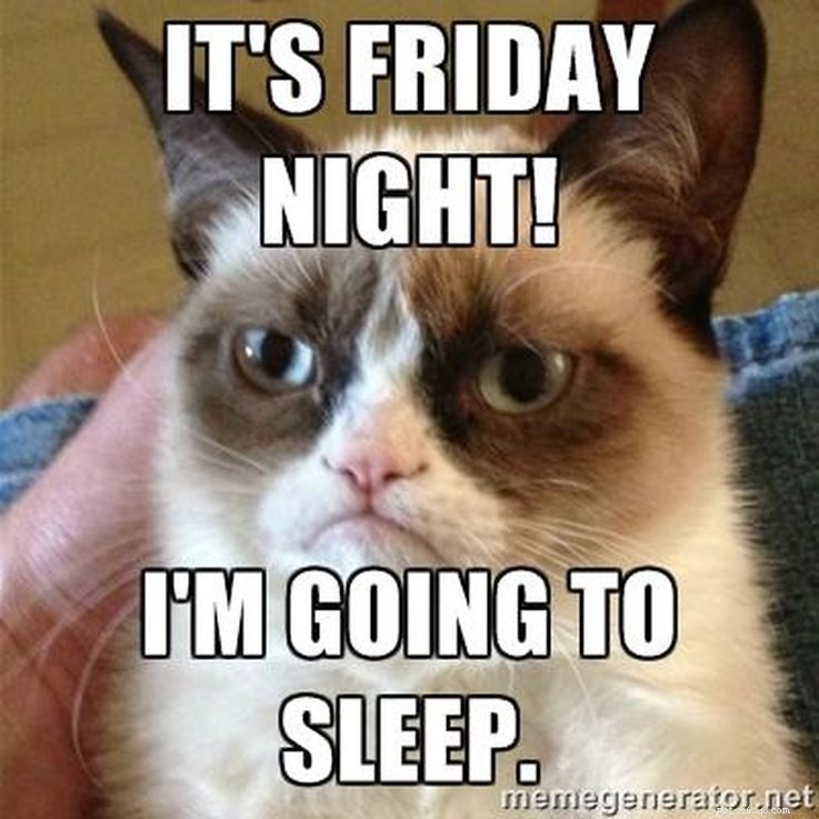 17 Animal Memes That Even the Laziest Will Relate