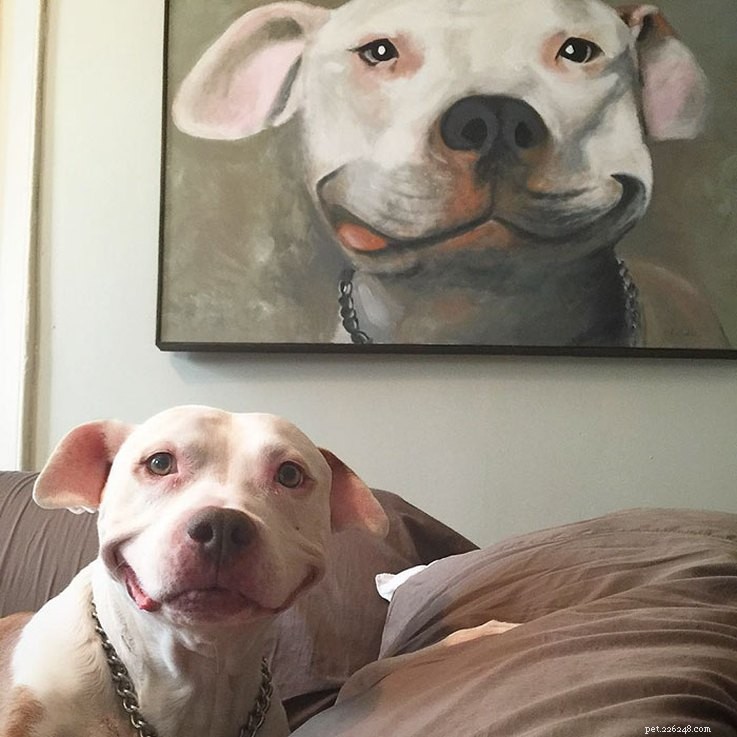 18 Animals Proudly Showcasing Their Remarkable Talents