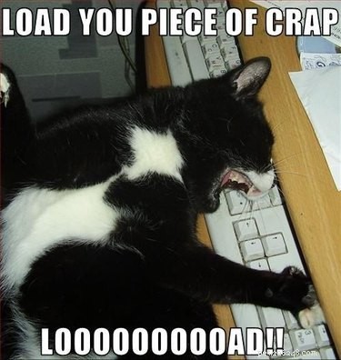 Office Humor: Animal Memes Only Corporate Workers Will Relate
