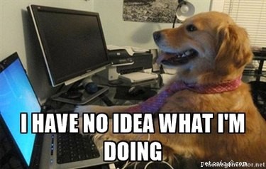 Office Humor: Animal Memes Only Corporate Workers Will Relate