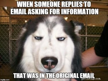 Office Humor: Animal Memes Only Corporate Workers Will Relate