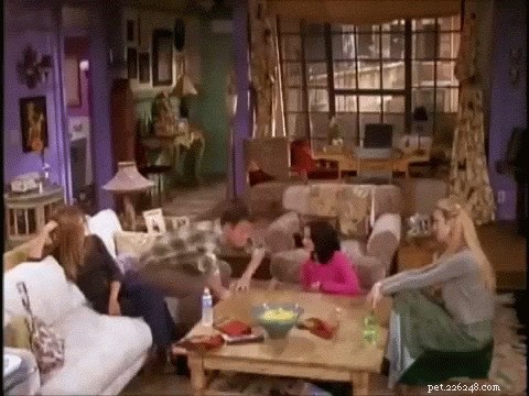 135 Classic 1990s Sitcom-Inspired Pet Names