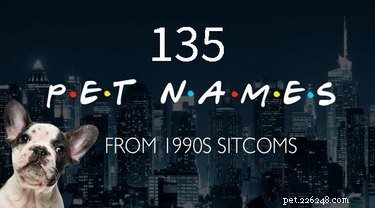 135 Classic 1990s Sitcom-Inspired Pet Names
