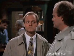 135 Classic 1990s Sitcom-Inspired Pet Names