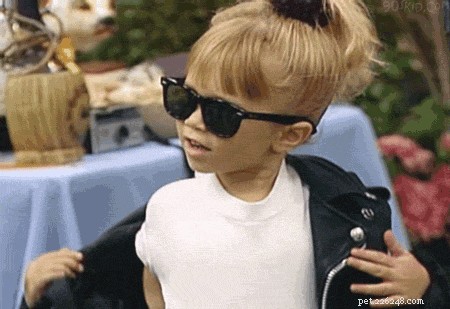135 Classic 1990s Sitcom-Inspired Pet Names