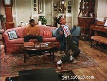 135 Classic 1990s Sitcom-Inspired Pet Names