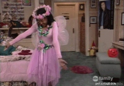 135 Classic 1990s Sitcom-Inspired Pet Names