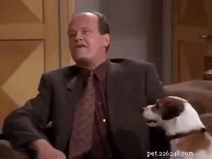 135 Classic 1990s Sitcom-Inspired Pet Names