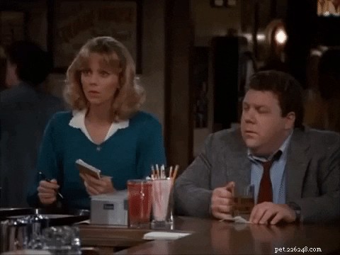 132 Classic 1980s Sitcom‑Inspired Pet Names