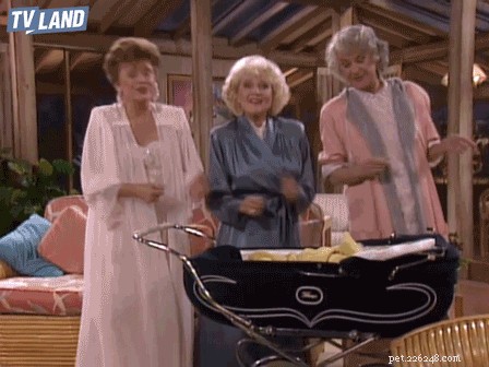 132 Classic 1980s Sitcom‑Inspired Pet Names