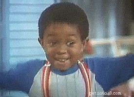 132 Classic 1980s Sitcom‑Inspired Pet Names