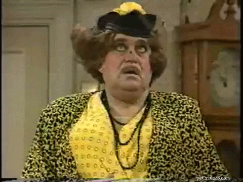 132 Classic 1980s Sitcom‑Inspired Pet Names