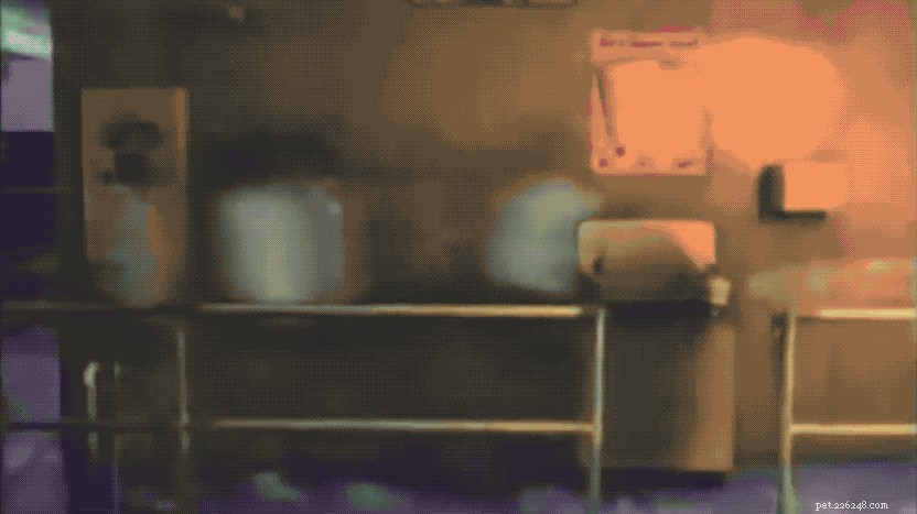 132 Classic 1980s Sitcom‑Inspired Pet Names