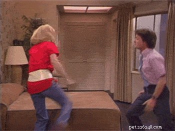 132 Classic 1980s Sitcom‑Inspired Pet Names