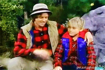 132 Classic 1980s Sitcom‑Inspired Pet Names