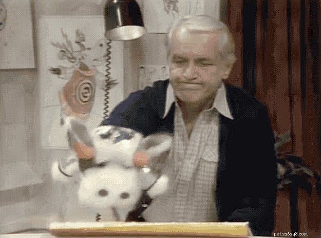 132 Classic 1980s Sitcom‑Inspired Pet Names