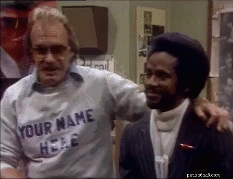 132 Classic 1980s Sitcom‑Inspired Pet Names