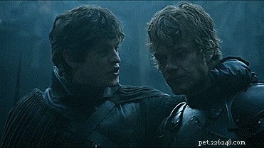 80 Game of Thrones Pet Names for Fans: Find the Perfect Name