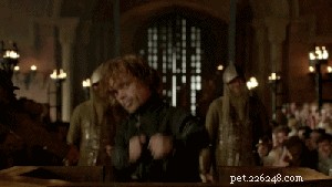 80 Game of Thrones Pet Names for Fans: Find the Perfect Name