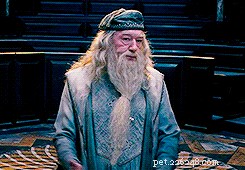 68 Charming Pet Nicknames for Harry Potter Enthusiasts