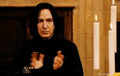 68 Charming Pet Nicknames for Harry Potter Enthusiasts