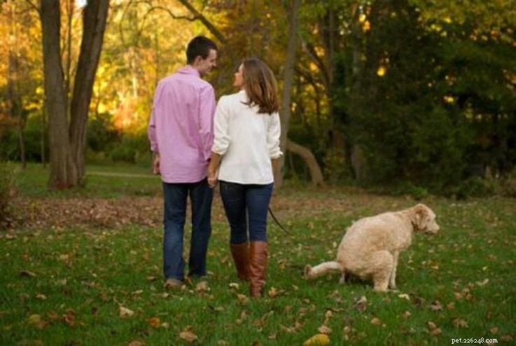 13 Charming Pet Owner Photo Moments That Will Brighten Your Day