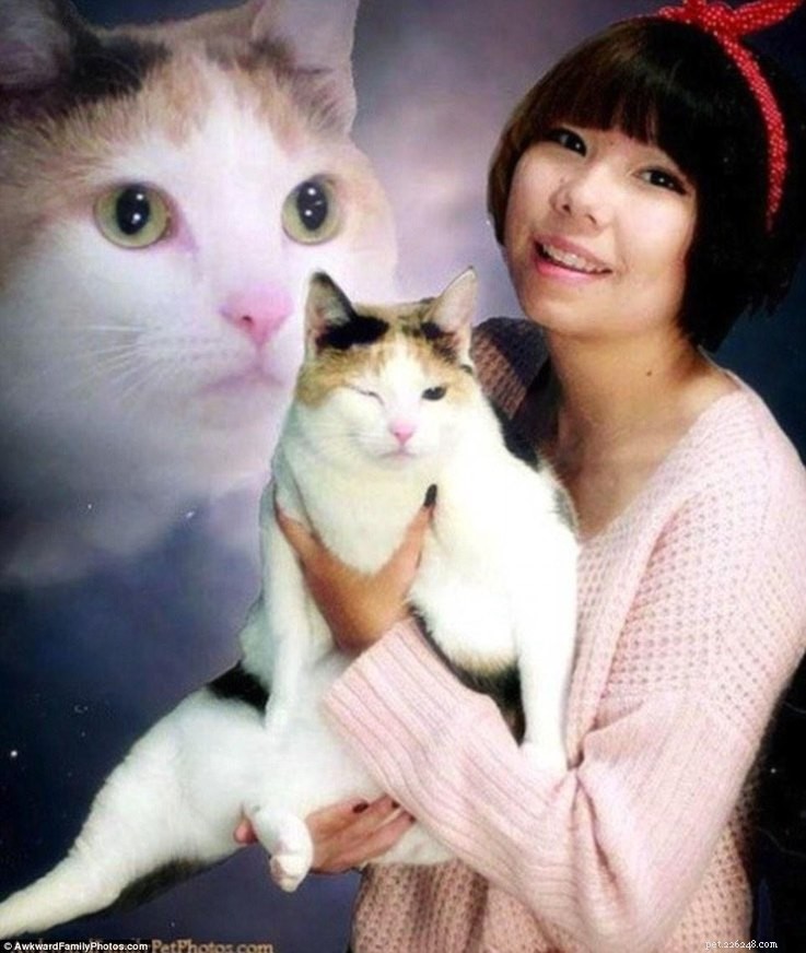 13 Charming Pet Owner Photo Moments That Will Brighten Your Day