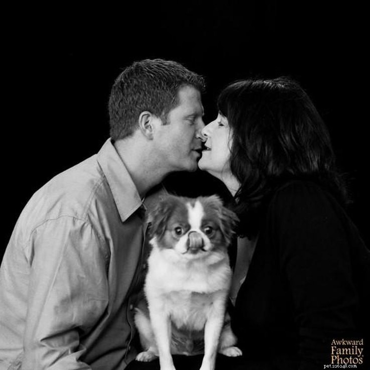 13 Charming Pet Owner Photo Moments That Will Brighten Your Day