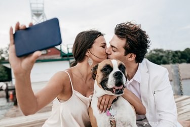 7 Creative Pet‑Inspired Marriage Proposal Ideas