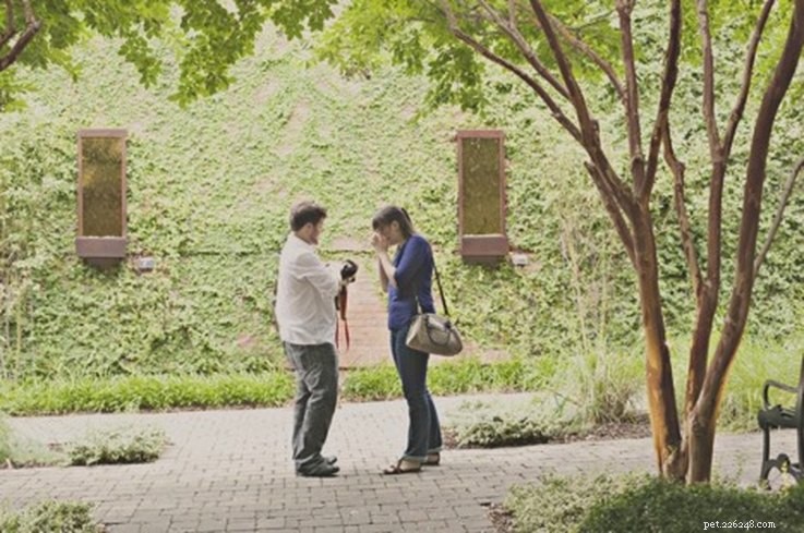 7 Creative Pet‑Inspired Marriage Proposal Ideas