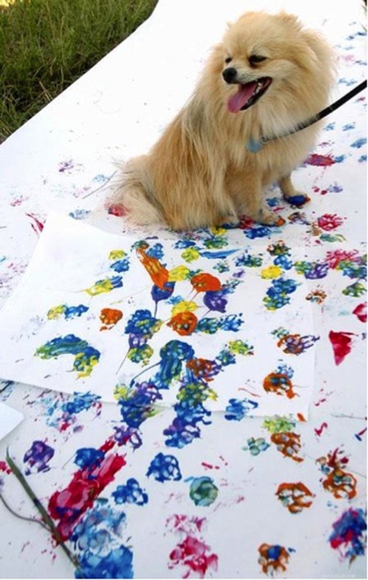 7 Creative Pet‑Inspired Marriage Proposal Ideas