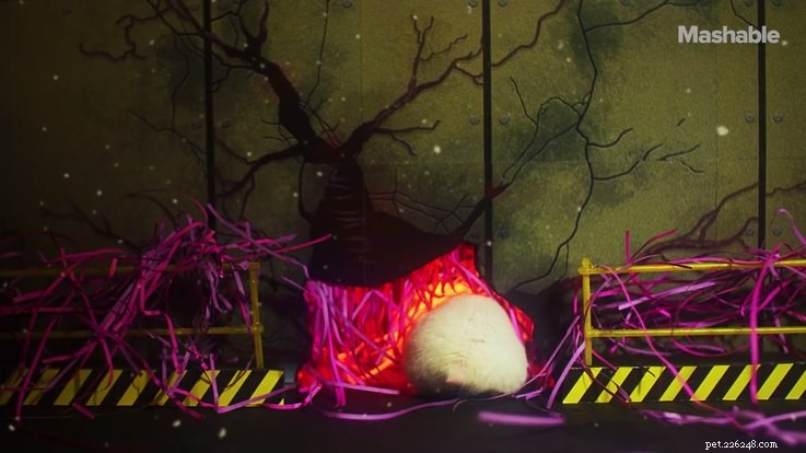 Hamster Stranger Things: The Viral Pet Series Taking the Internet by Storm