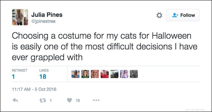 25 Relatable Tweets About Pets and Halloween