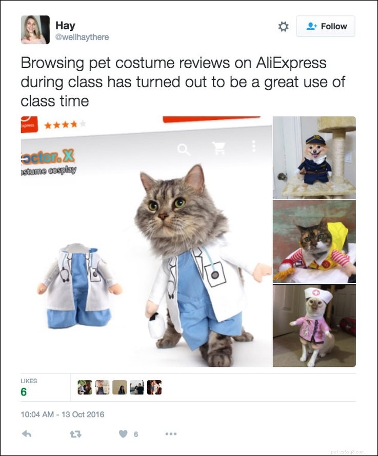 25 Relatable Tweets About Pets and Halloween