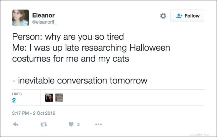 25 Relatable Tweets About Pets and Halloween