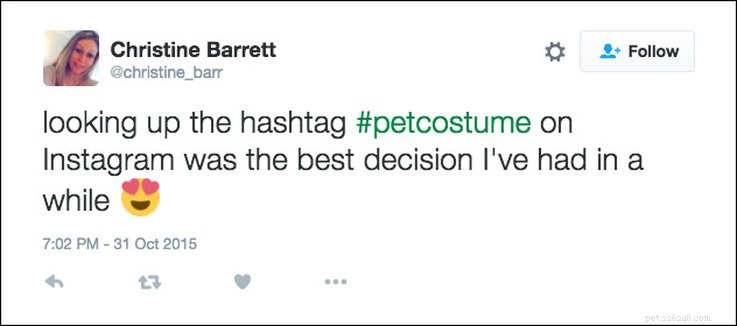 25 Relatable Tweets About Pets and Halloween
