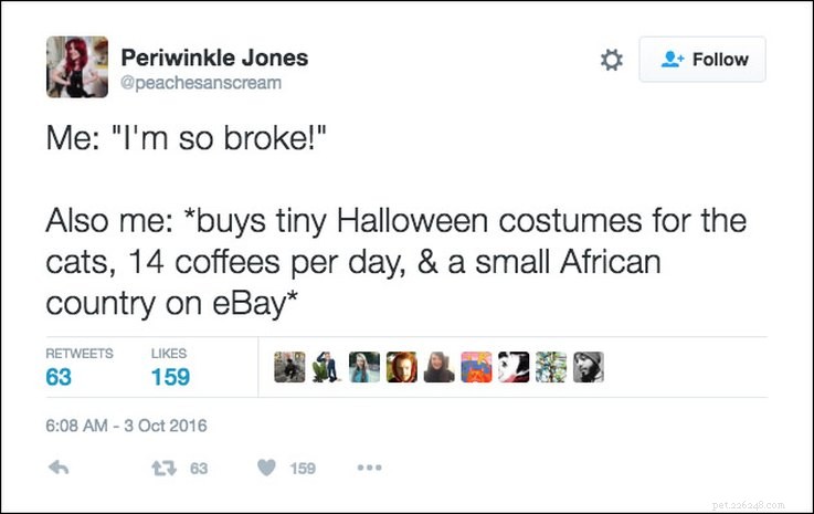 25 Relatable Tweets About Pets and Halloween