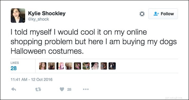 25 Relatable Tweets About Pets and Halloween