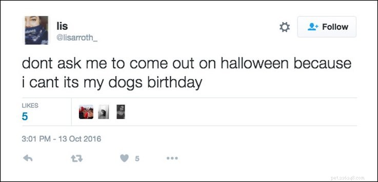 25 Relatable Tweets About Pets and Halloween