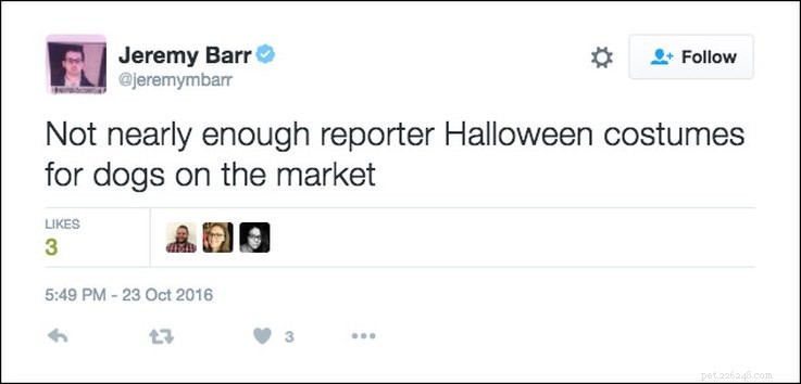 25 Relatable Tweets About Pets and Halloween