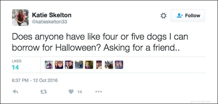 25 Relatable Tweets About Pets and Halloween