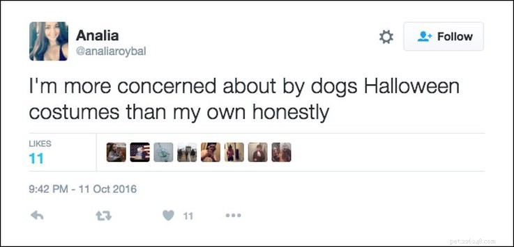 25 Relatable Tweets About Pets and Halloween