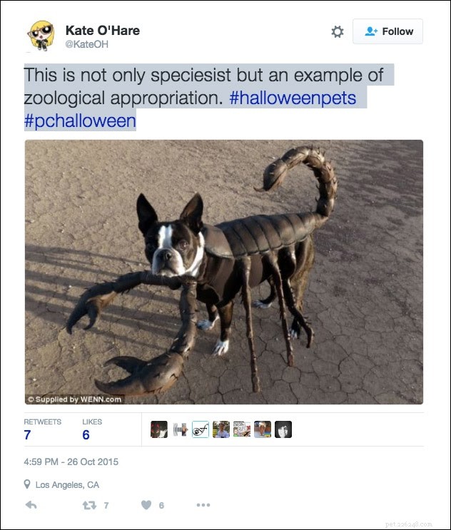 25 Relatable Tweets About Pets and Halloween