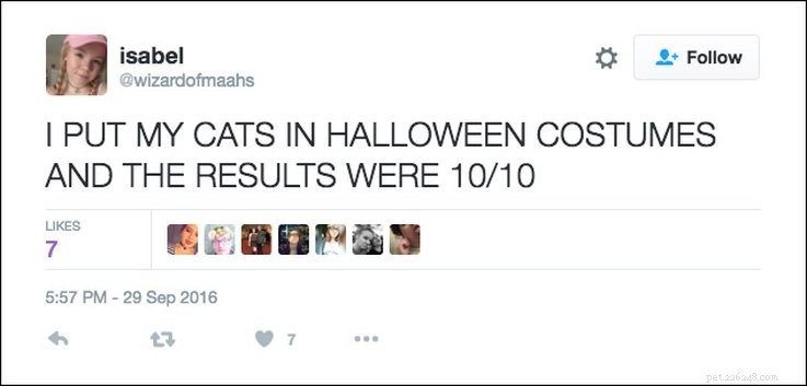 25 Relatable Tweets About Pets and Halloween