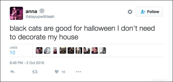 25 Relatable Tweets About Pets and Halloween