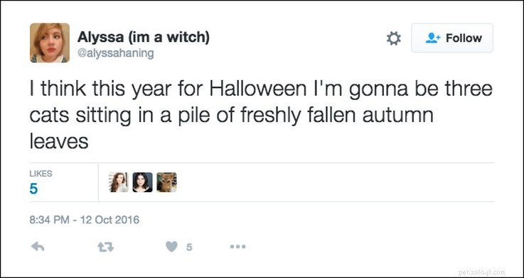 25 Relatable Tweets About Pets and Halloween