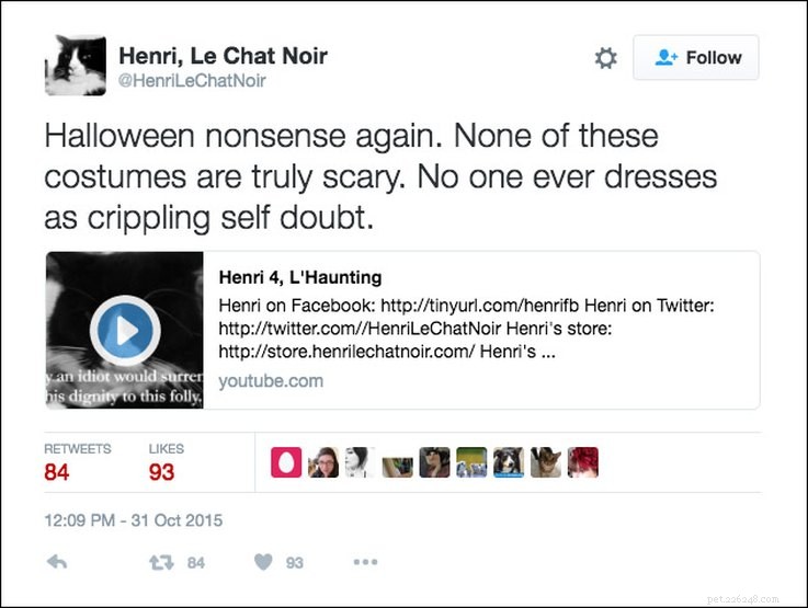 25 Relatable Tweets About Pets and Halloween