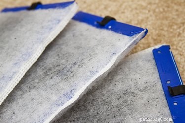 Clear Turtle Tank Maintenance: Filters, Algae Control, and Water Changes
