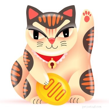 10 Fascinating Facts About Calico Cats You Didn t Know